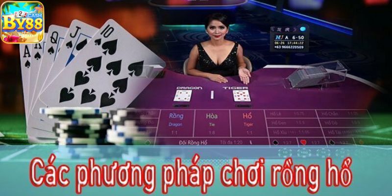 Hướng dẫn chi tiết cách chơi rồng hổ tại nhà cái by88