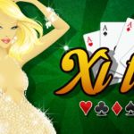 xì tố online